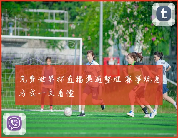 免费世界杯直播渠道整理 赛事观看方式一文看懂