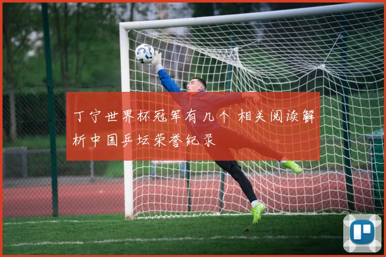 丁宁世界杯冠军有几个 相关阅读解析中国乒坛荣誉纪录